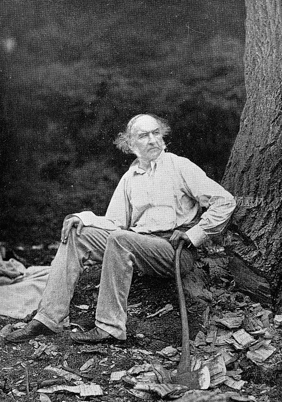 威廉·伊沃特·格莱斯顿在哈沃登砍伐树木，威尔士- 19世纪